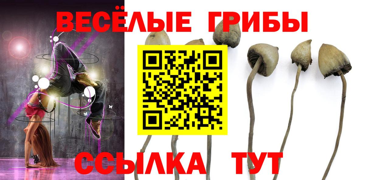 ГАШИШ  Вход с VPN  Кокаин  ЭКСТАЗИ  Меф МЯУ МЯУ   МАРИХУАНА  Новозыбков  Меф 