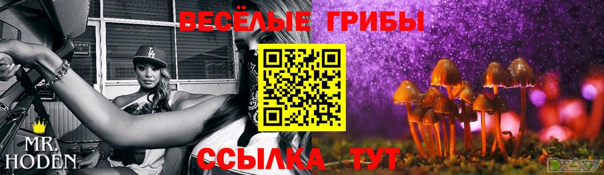 Псилоцибиновые грибы MAGIC MUSHROOMS  Вход с VPN  наркошоп  Новозыбков 