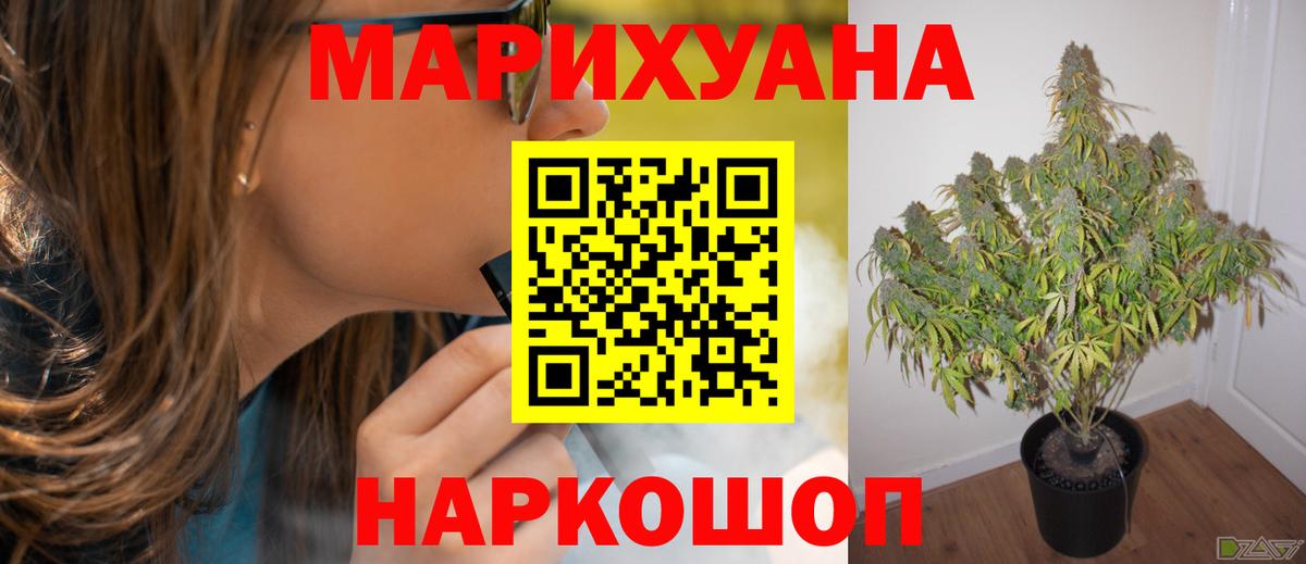 Шишки марихуана семена  Вход с VPN  Каннабис SATIVA & INDICA  Новозыбков  Канабис White Widow 