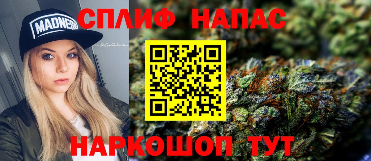 Канабис план Новозыбков